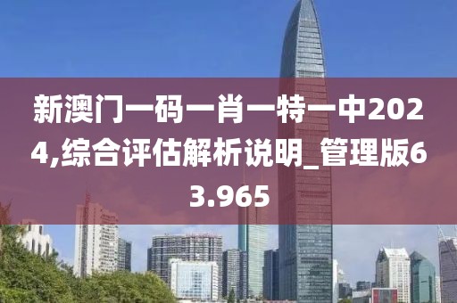 新澳门一码一肖一特一中2024,综合评估解析说明_管理版63.965