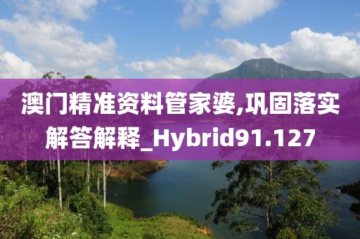 澳门精准资料管家婆,巩固落实解答解释_Hybrid91.127