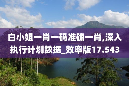 白小姐一肖一码准确一肖,深入执行计划数据_效率版17.543
