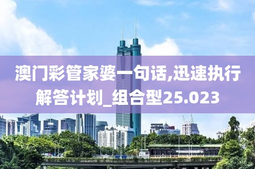 澳门彩管家婆一句话,迅速执行解答计划_组合型25.023