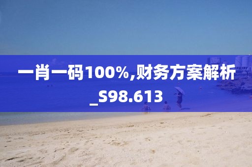 一肖一码100%,财务方案解析_S98.613