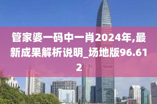 管家婆一码中一肖2024年,最新成果解析说明_场地版96.612
