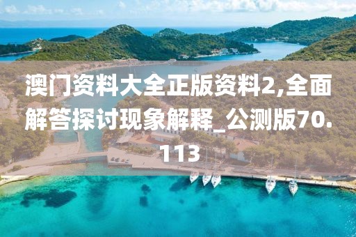 澳门资料大全正版资料2,全面解答探讨现象解释_公测版70.113