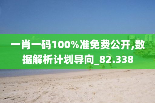 一肖一码100%准免费公开,数据解析计划导向_82.338