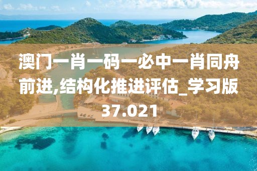 澳门一肖一码一必中一肖同舟前进,结构化推进评估_学习版37.021