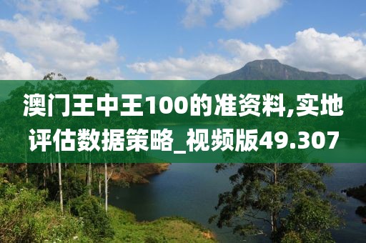 澳门王中王100的准资料,实地评估数据策略_视频版49.307