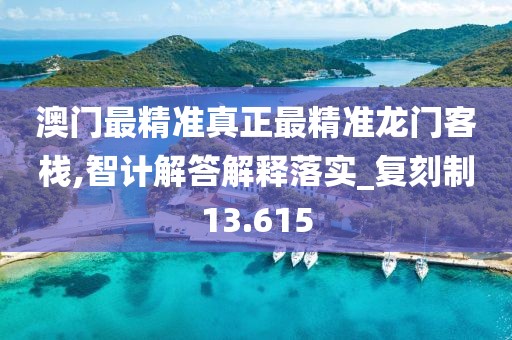 澳门最精准真正最精准龙门客栈,智计解答解释落实_复刻制13.615
