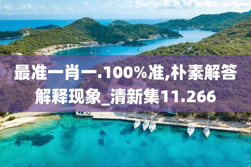 最准一肖一.100%准,朴素解答解释现象_清新集11.266