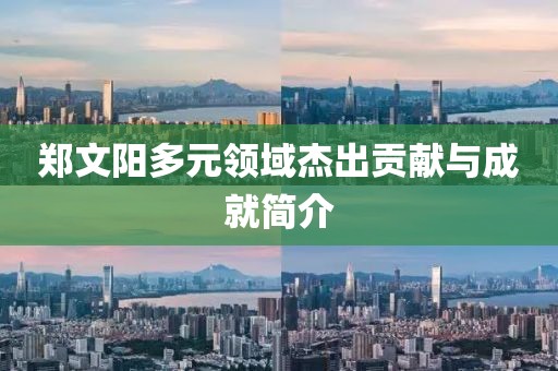 郑文阳多元领域杰出贡献与成就简介