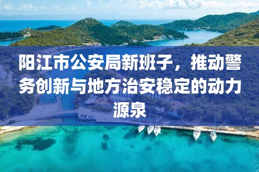 阳江市公安局新班子，推动警务创新与地方治安稳定的动力源泉