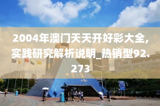 2004年澳门天天开好彩大全,实践研究解析说明_热销型92.273