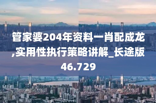 管家婆204年资料一肖配成龙,实用性执行策略讲解_长途版46.729