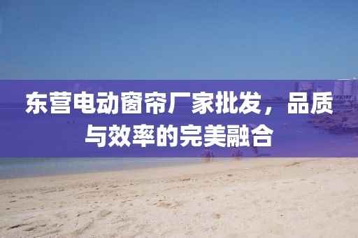 东营电动窗帘厂家批发，品质与效率的完美融合