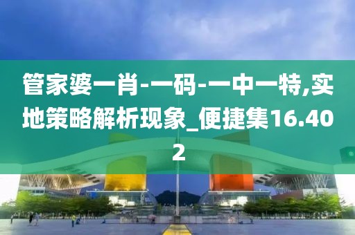管家婆一肖-一码-一中一特,实地策略解析现象_便捷集16.402