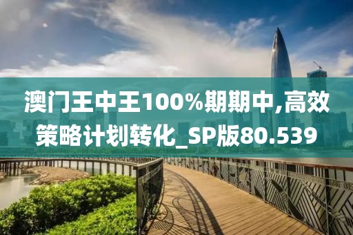 澳门王中王100%期期中,高效策略计划转化_SP版80.539