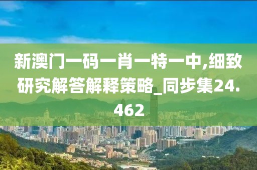 新澳门一码一肖一特一中,细致研究解答解释策略_同步集24.462