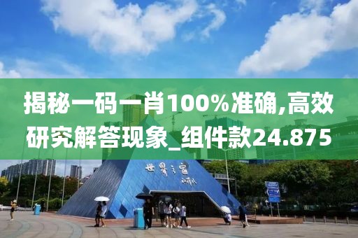 揭秘一码一肖100%准确,高效研究解答现象_组件款24.875