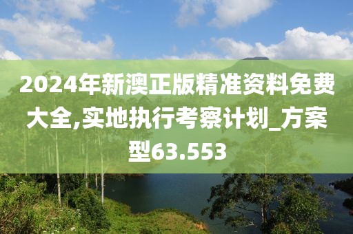 2024年新澳正版精准资料免费大全,实地执行考察计划_方案型63.553