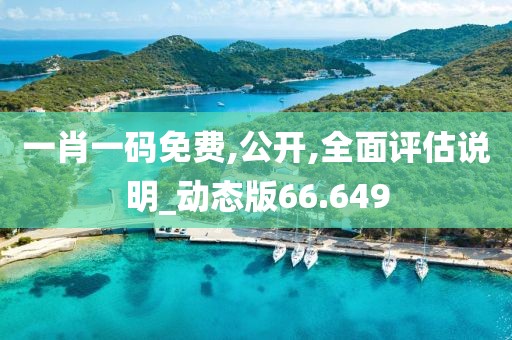 一肖一码免费,公开,全面评估说明_动态版66.649