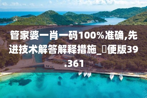 管家婆一肖一码100%准确,先进技术解答解释措施_簡便版39.361