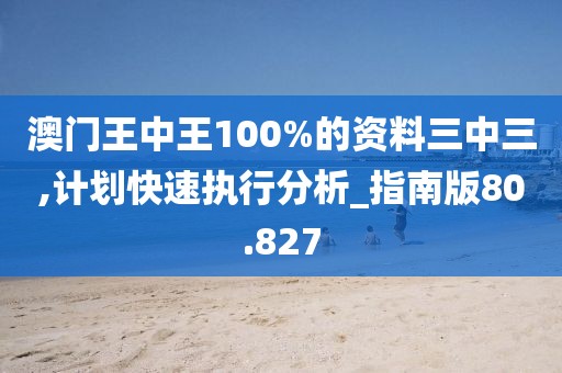 澳门王中王100%的资料三中三,计划快速执行分析_指南版80.827