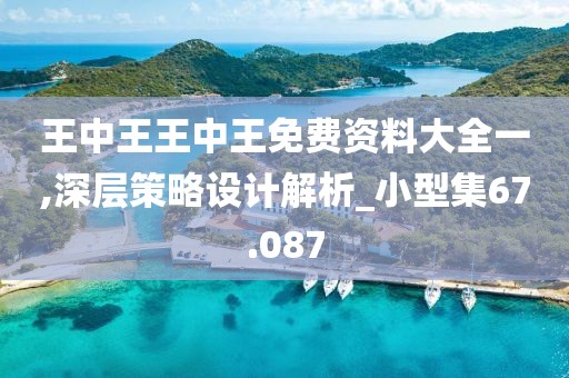 王中王王中王免费资料大全一,深层策略设计解析_小型集67.087