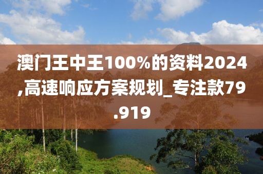 澳门王中王100%的资料2024,高速响应方案规划_专注款79.919