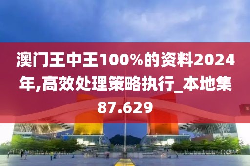 澳门王中王100%的资料2024年,高效处理策略执行_本地集87.629