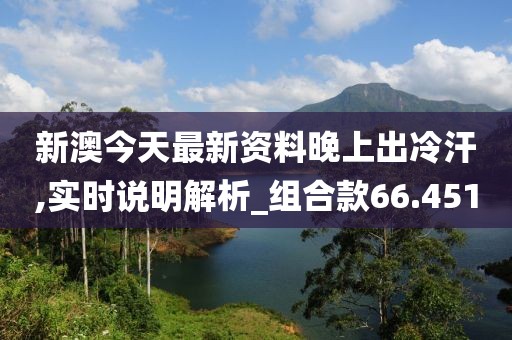新澳今天最新资料晚上出冷汗,实时说明解析_组合款66.451