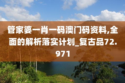 管家婆一肖一码澳门码资料,全面的解析落实计划_复古品72.971