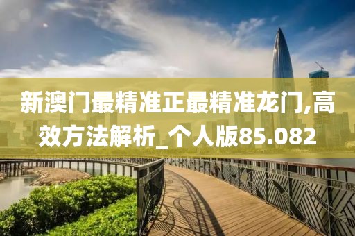 新澳门最精准正最精准龙门,高效方法解析_个人版85.082