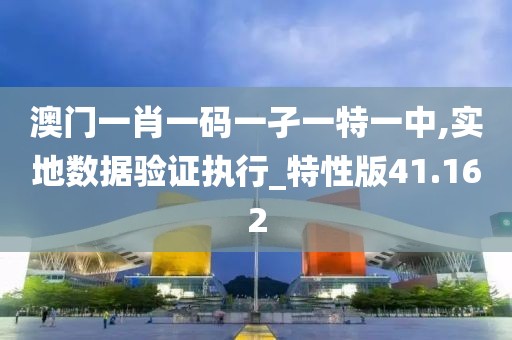 澳门一肖一码一孑一特一中,实地数据验证执行_特性版41.162