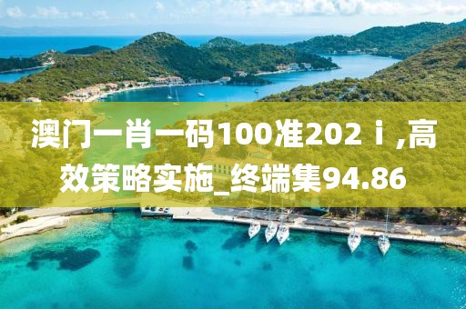 澳门一肖一码100准202ⅰ,高效策略实施_终端集94.86
