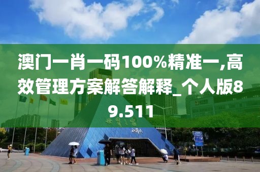 澳门一肖一码100%精准一,高效管理方案解答解释_个人版89.511