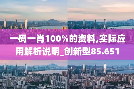 一码一肖100%的资料,实际应用解析说明_创新型85.651