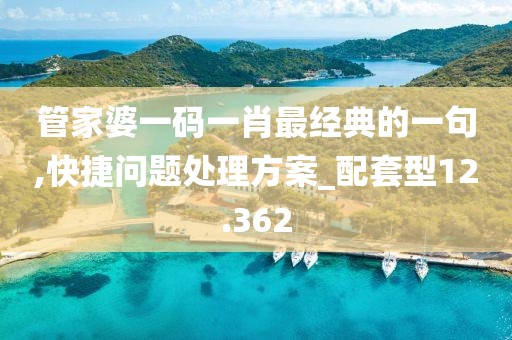 管家婆一码一肖最经典的一句,快捷问题处理方案_配套型12.362