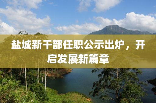盐城新干部任职公示出炉，开启发展新篇章