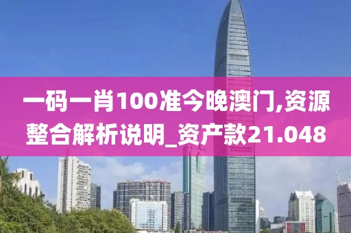 一码一肖100准今晚澳门,资源整合解析说明_资产款21.048