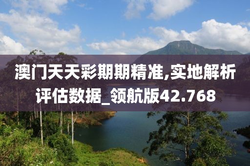 澳门天天彩期期精准,实地解析评估数据_领航版42.768