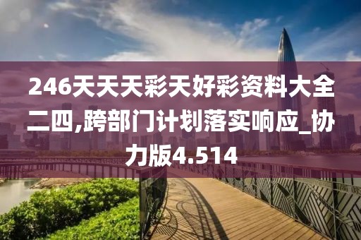 246天天天彩天好彩资料大全二四,跨部门计划落实响应_协力版4.514
