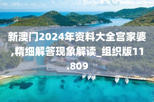 新澳门2024年资料大全宫家婆,精细解答现象解读_组织版11.809
