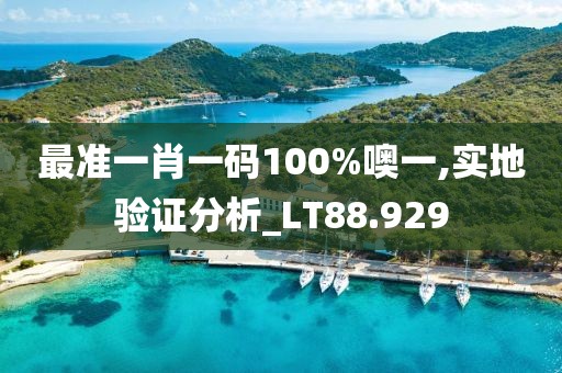 最准一肖一码100%噢一,实地验证分析_LT88.929