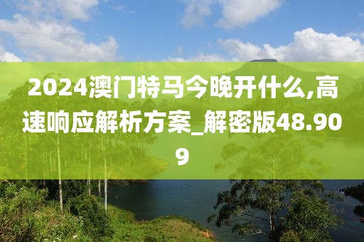 2024澳门特马今晚开什么,高速响应解析方案_解密版48.909