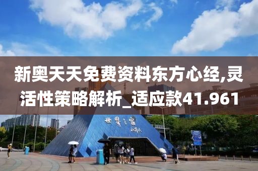 新奥天天免费资料东方心经,灵活性策略解析_适应款41.961