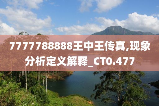 7777788888王中王传真,现象分析定义解释_CT0.477