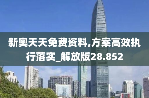 新奥天天免费资料,方案高效执行落实_解放版28.852