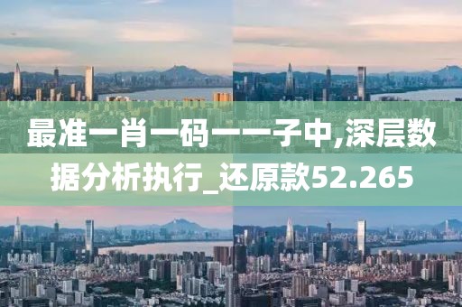 最准一肖一码一一子中,深层数据分析执行_还原款52.265