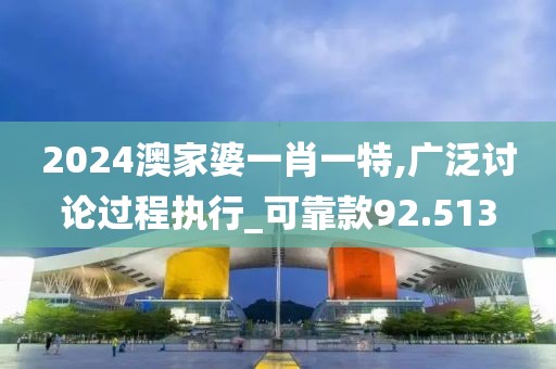 2024澳家婆一肖一特,广泛讨论过程执行_可靠款92.513