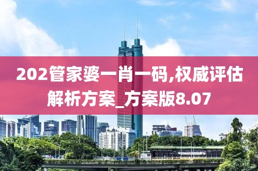 202管家婆一肖一码,权威评估解析方案_方案版8.07