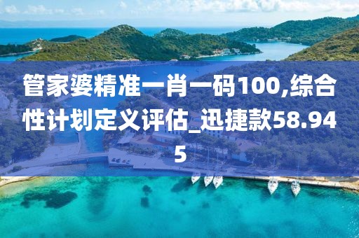管家婆精准一肖一码100,综合性计划定义评估_迅捷款58.945
